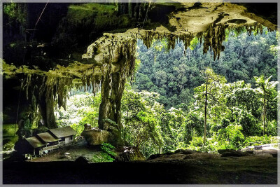 Malaysia National Park, Sarawak, Niah 尼亚国家公园, 砂拉越州属, 马来西亚