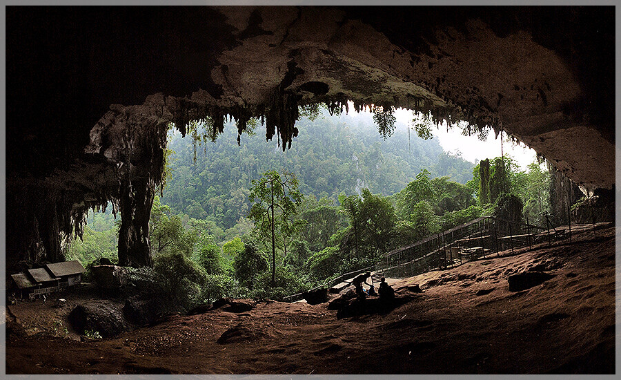 Malaysia National Park, Sarawak, Niah 尼亚国家公园, 砂拉越州属, 马来西亚