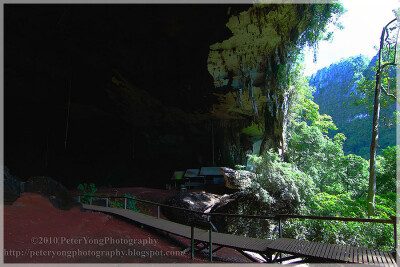 Malaysia National Park, Sarawak, Niah 尼亚国家公园, 砂拉越州属, 马来西亚