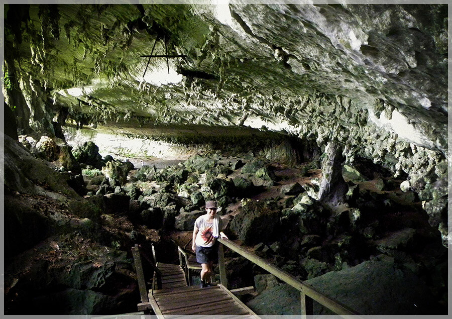 Malaysia National Park, Sarawak, Niah 尼亚国家公园, 砂拉越州属, 马来西亚