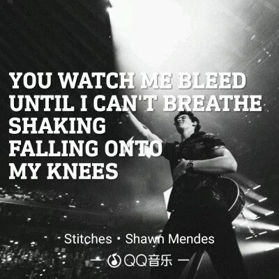《Stitches》