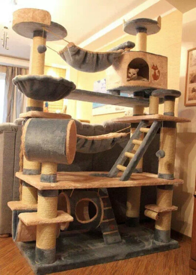 豪华猫爬架猫玩具
2000.00