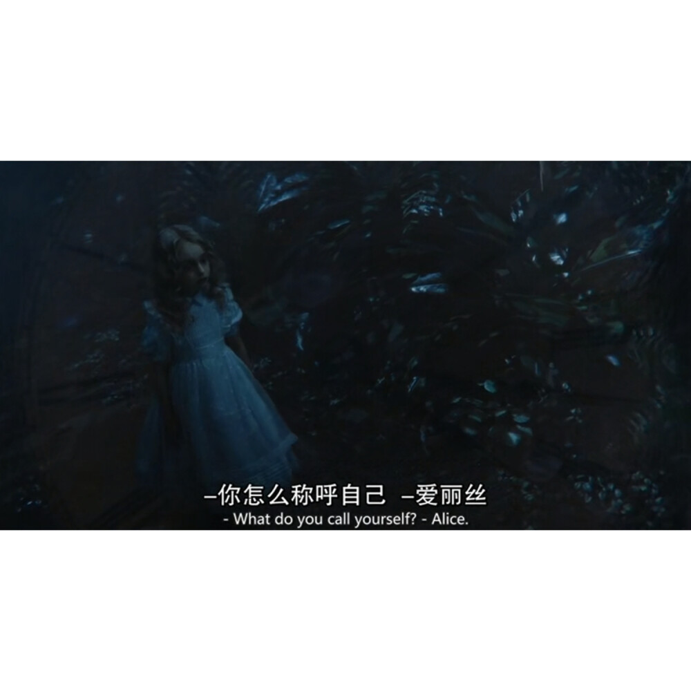自截爱丽丝梦游仙境