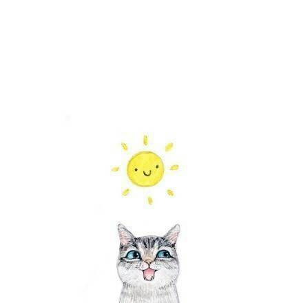 照猫