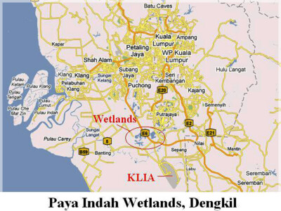 Malaysia Wetlands, Selangor, Paya Indah 巴雅美丽湿地公园, 雪兰莪州属, 马来西亚