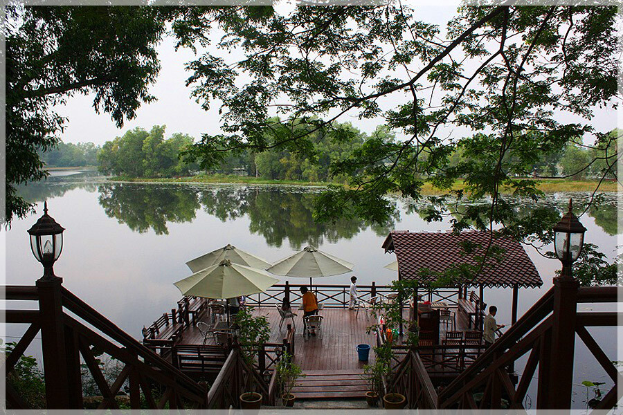 Malaysia Wetlands, Selangor, Paya Indah
巴雅美丽湿地公园, 雪兰莪州属, 马来西亚