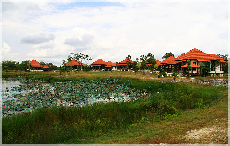 Malaysia Wetlands, Selangor, Paya Indah
巴雅美丽湿地公园, 雪兰莪州属, 马来西亚