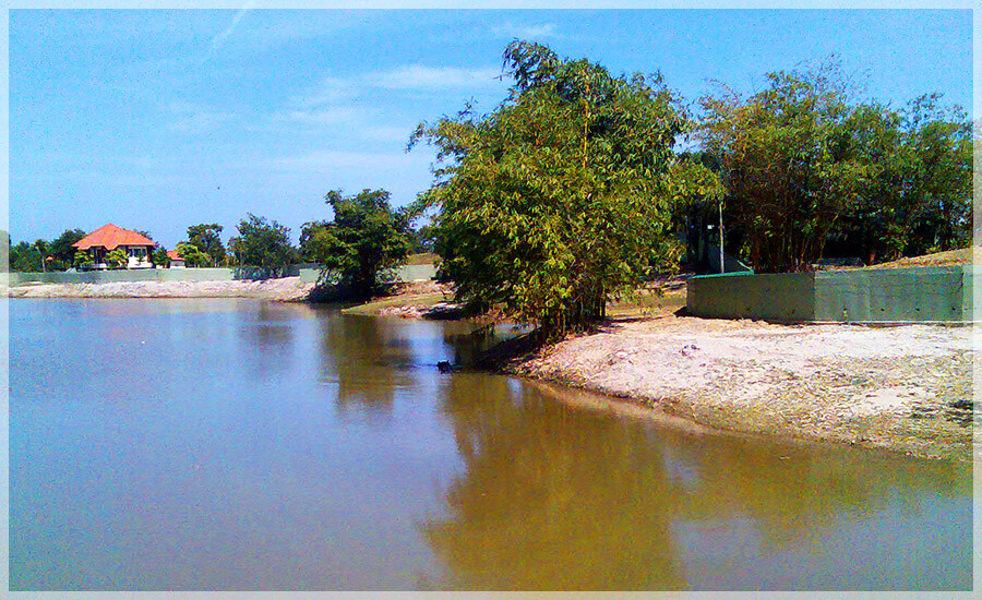 Malaysia Wetlands, Selangor, Paya Indah
巴雅美丽湿地公园, 雪兰莪州属, 马来西亚