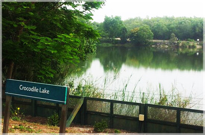 Malaysia Wetlands, Selangor, Paya Indah
巴雅美丽湿地公园, 雪兰莪州属, 马来西亚