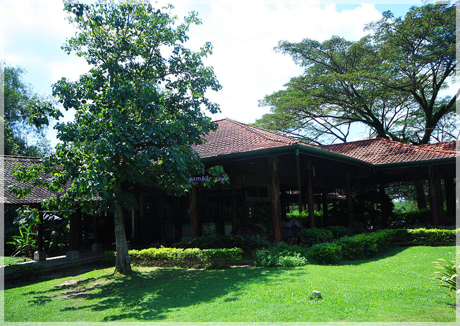 Malaysia Wetlands, Selangor, Paya Indah
巴雅美丽湿地公园, 雪兰莪州属, 马来西亚