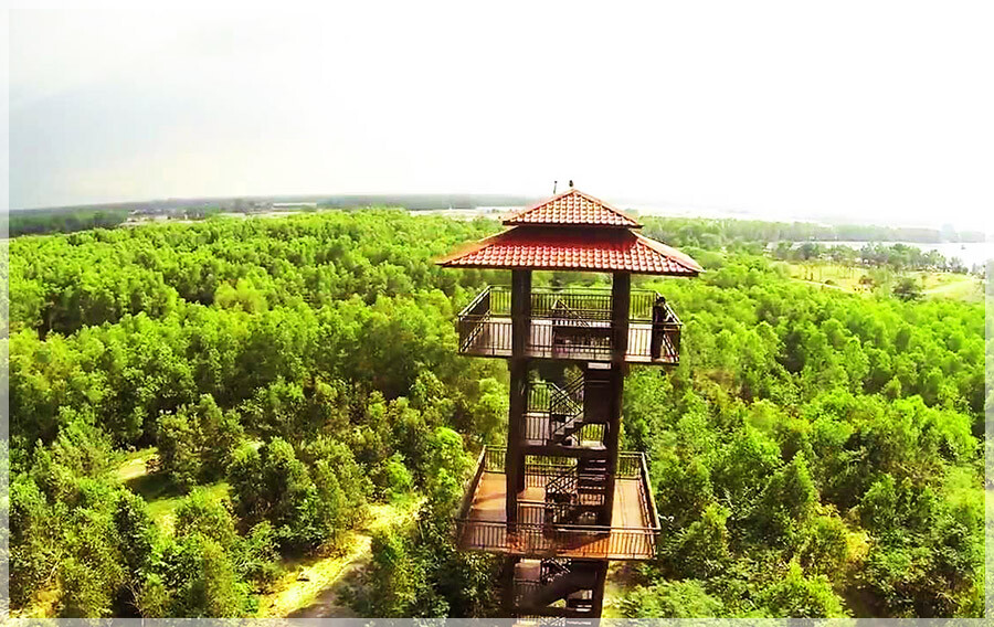 Malaysia Wetlands, Selangor, Paya Indah
巴雅美丽湿地公园, 雪兰莪州属, 马来西亚