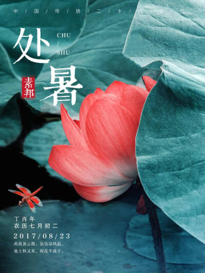 【素邦生活】
8月23日 —— 处暑
