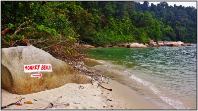 Malaysia Peninsular National Parks, Penang
槟城国家公园, 槟城州属, 马来西亚半岛