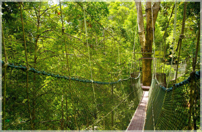 Malaysia Peninsular National Parks, Penang
槟城国家公园, 槟城州属, 马来西亚半岛