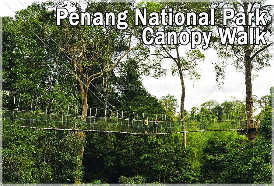 Malaysia Peninsular National Parks, Penang
槟城国家公园, 槟城州属, 马来西亚半岛