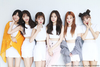 Apink