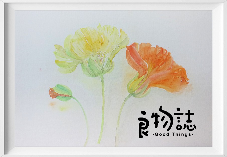 水彩 花 花苞 黄花 橘色花朵 两朵花 植物 水彩画 小清新 装饰画 壁画 悠然小品 时尚家居 画框 插画 原创手绘 工作电话15242071645