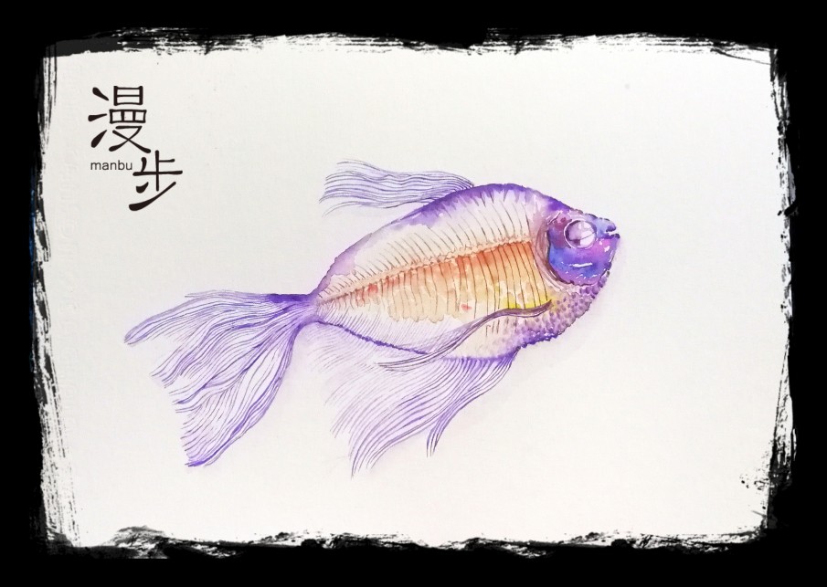 水彩 鱼 x光下的鱼 鱼骨 紫色鱼 透明鱼 海鱼 游鱼 水彩画 小清新 装饰画 壁画 悠然小品 时尚家居 画框 插画 原创手绘 工作电话15242071645