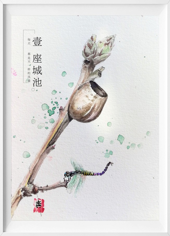 水彩 萌芽 春天 杨拉罐 春芽 毛拉罐 植物 水彩画 小清新 装饰画 壁画 悠然小品 时尚家居 画框 插画 原创手绘 工作电话15242071645