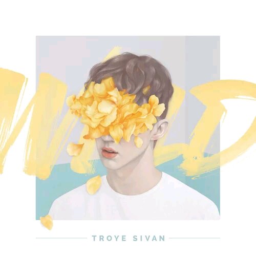 troye sivan 特洛伊·希文 戳爷 明星 