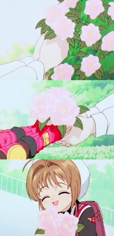 手机壁纸哦~~
百变小樱
童年!!!我又要去重温一遍了