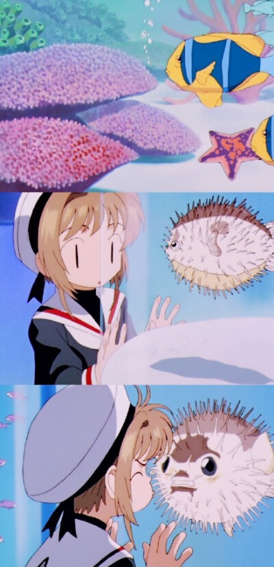 手机壁纸哦~~
百变小樱
童年!!!我又要去重温一遍了