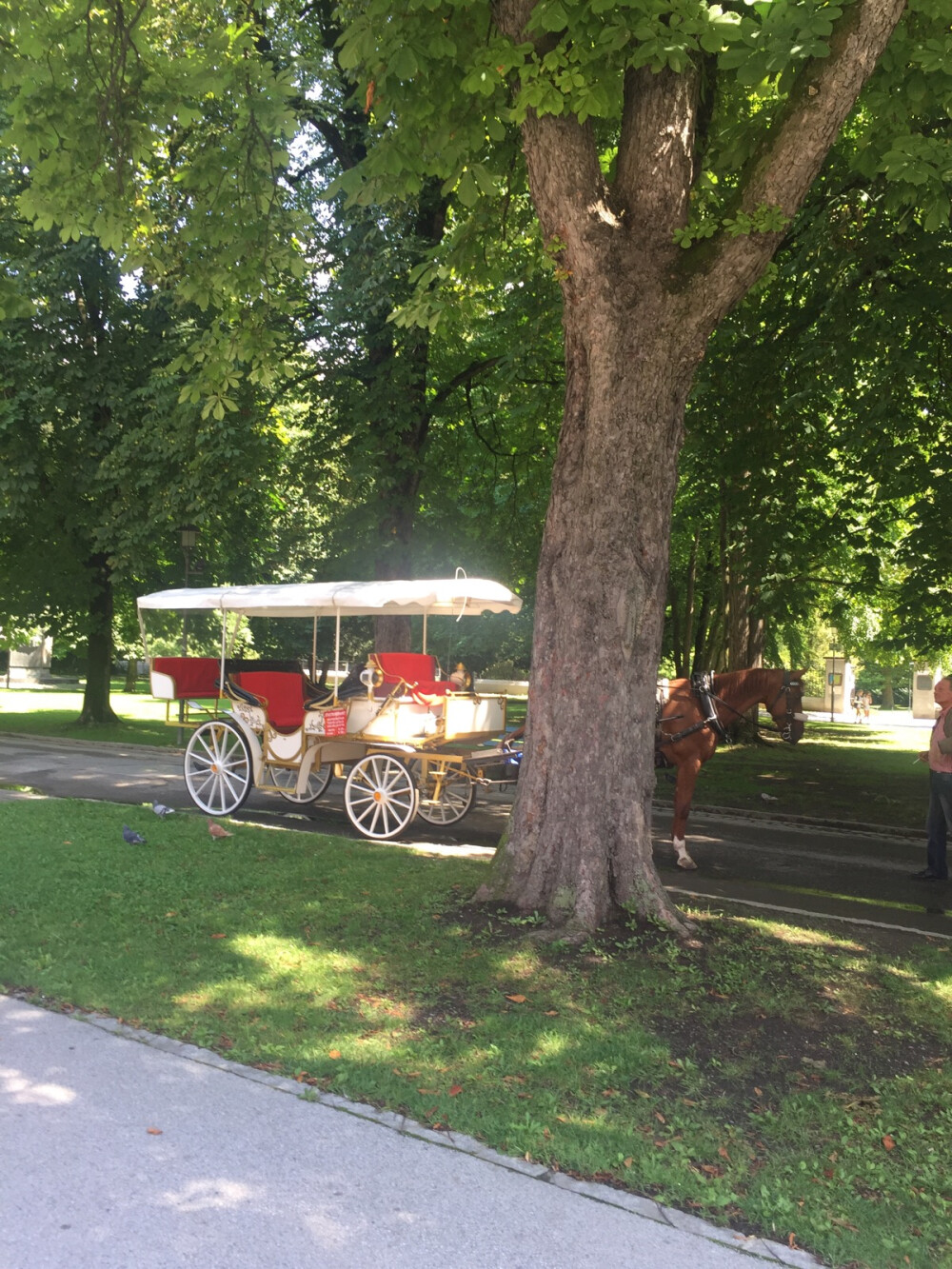 因斯布魯克的公園里的馬車 感覺回到了中世紀(jì)