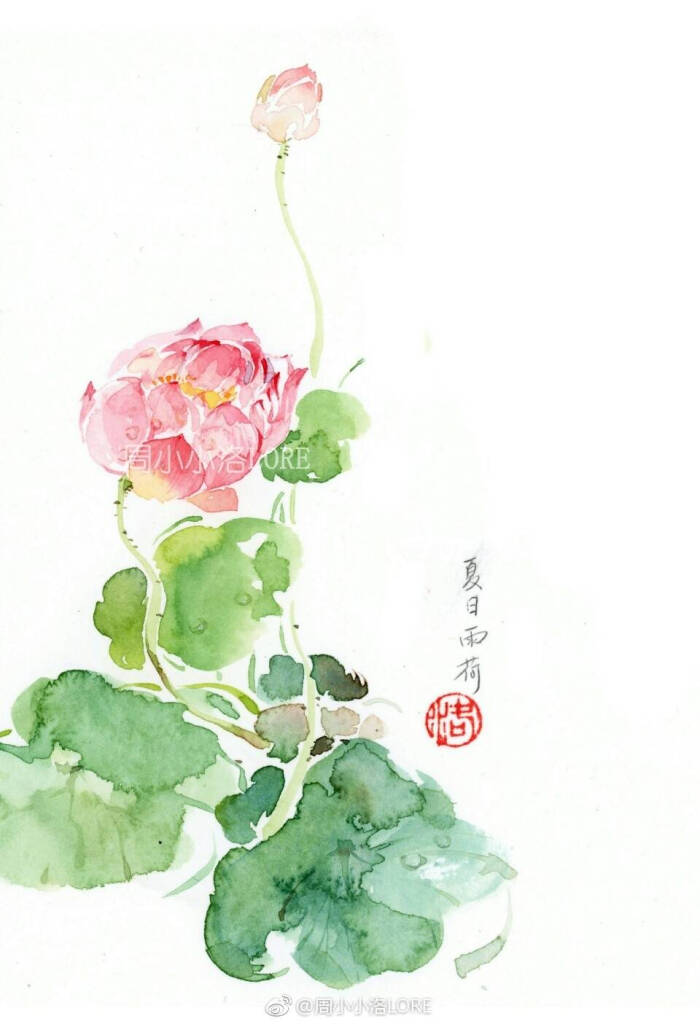 花卉
