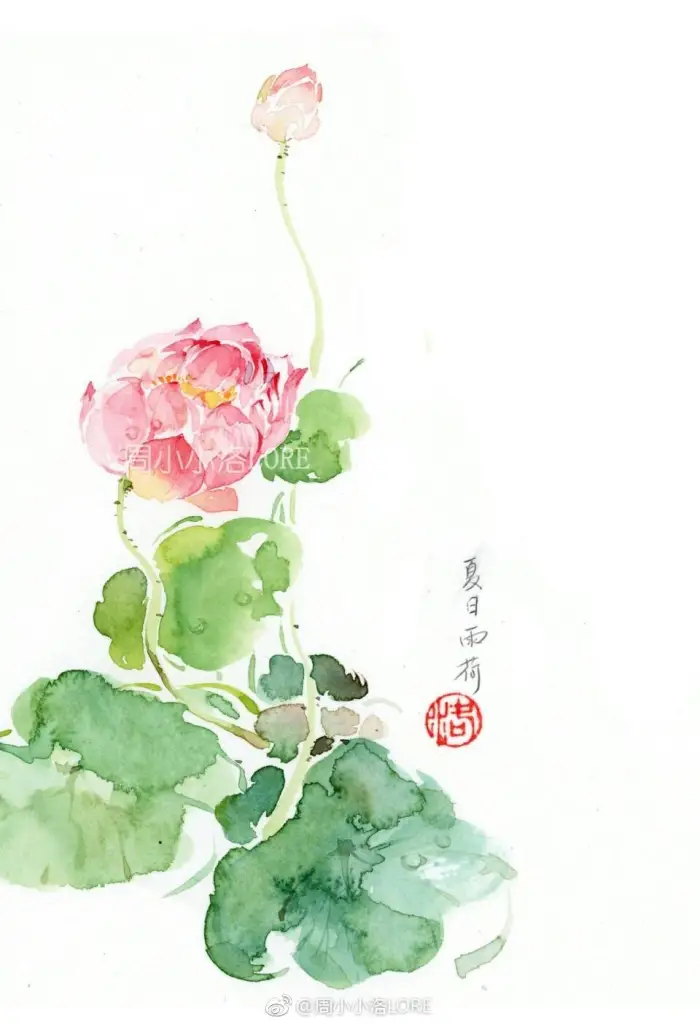 水彩画花卉荷花- 高清图片，堆糖，美图壁纸兴趣社区
