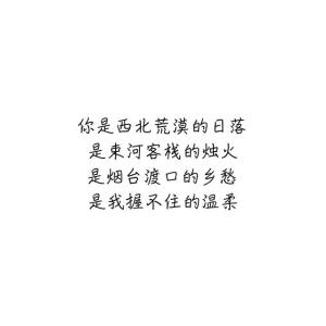 你是西北荒漠的日落
是束河客栈的烛火
是烟台渡口的乡愁
是我把握不住的温柔
