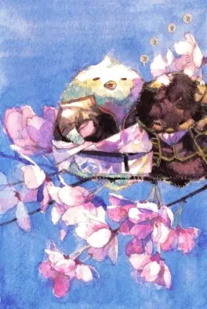 土银土 堆糖 美图壁纸兴趣社区