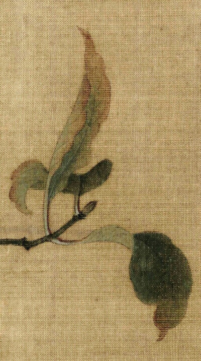 #宋画撷珍# 《果熟来禽图》页，南宋，林椿作，故宫博物院藏
图中木叶的枯萎、残损、锈斑，果子上被虫儿叮咬的痕迹细节，体现画家高超的写生能力。在构图上采取稳定的三角形，删繁就简，树叶错落有致，连阴、阳面、叶…