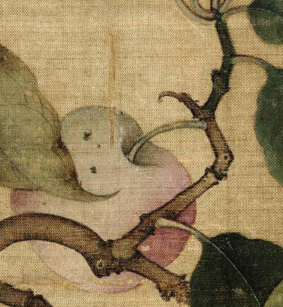 #宋画撷珍# 《果熟来禽图》页，南宋，林椿作，故宫博物院藏
图中木叶的枯萎、残损、锈斑，果子上被虫儿叮咬的痕迹细节，体现画家高超的写生能力。在构图上采取稳定的三角形，删繁就简，树叶错落有致，连阴、阳面、叶…
