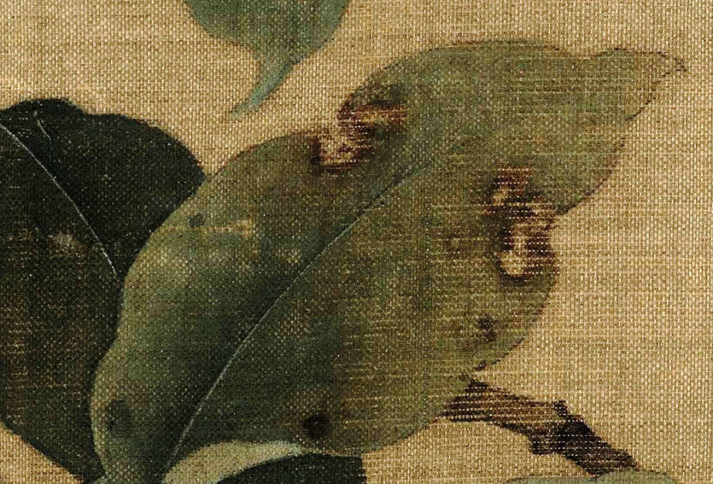 #宋画撷珍# 《果熟来禽图》页，南宋，林椿作，故宫博物院藏
图中木叶的枯萎、残损、锈斑，果子上被虫儿叮咬的痕迹细节，体现画家高超的写生能力。在构图上采取稳定的三角形，删繁就简，树叶错落有致，连阴、阳面、叶柄转承等都一一罗列，明洁奇巧，既保持了画院花鸟画“要物形不改”状物精微的写实精神，又表现出作者蕴藉空灵的审美追求