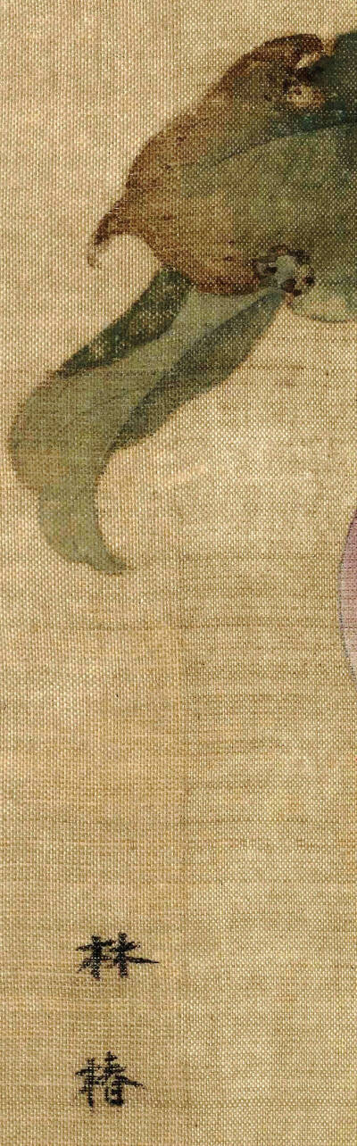 #宋画撷珍# 《果熟来禽图》页，南宋，林椿作，故宫博物院藏
图中木叶的枯萎、残损、锈斑，果子上被虫儿叮咬的痕迹细节，体现画家高超的写生能力。在构图上采取稳定的三角形，删繁就简，树叶错落有致，连阴、阳面、叶…