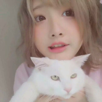 猫和女孩