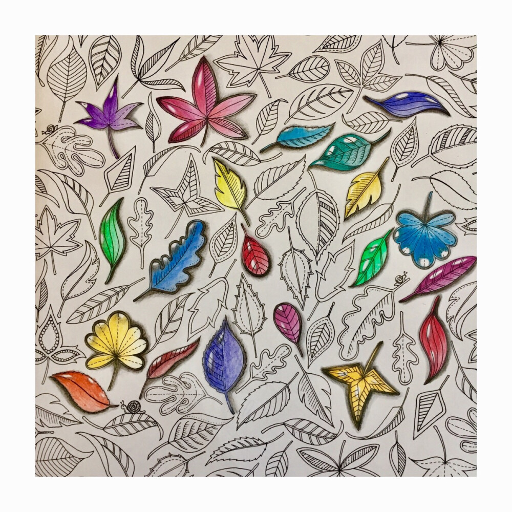 秘密花园。只涂了几个……