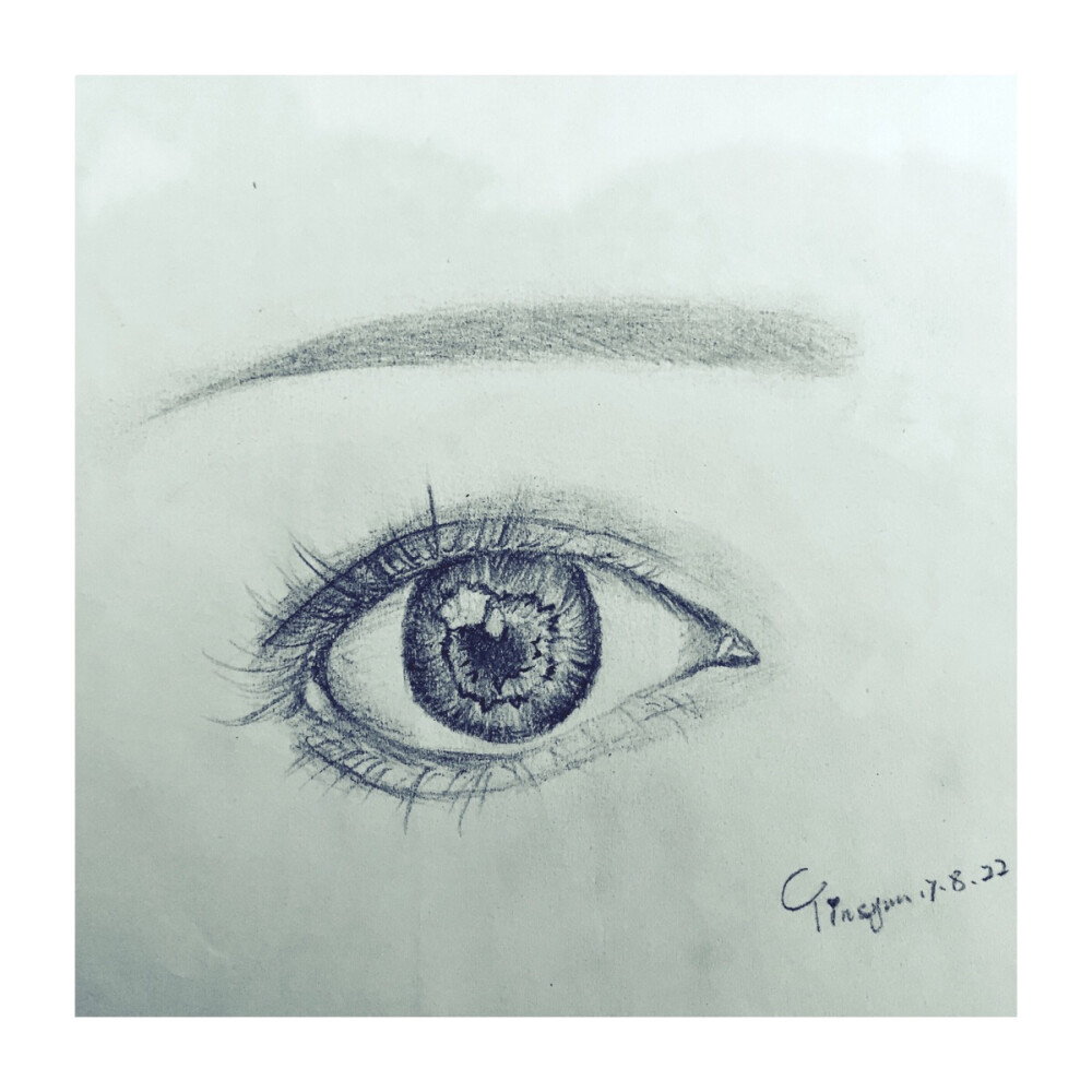 临摹的眼睛～
