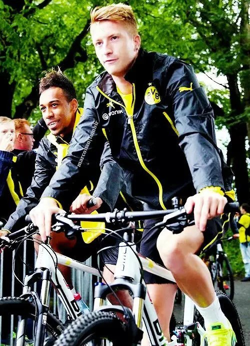 【Marco Reus】