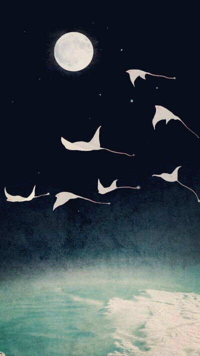 像风一样自由，拂过海面