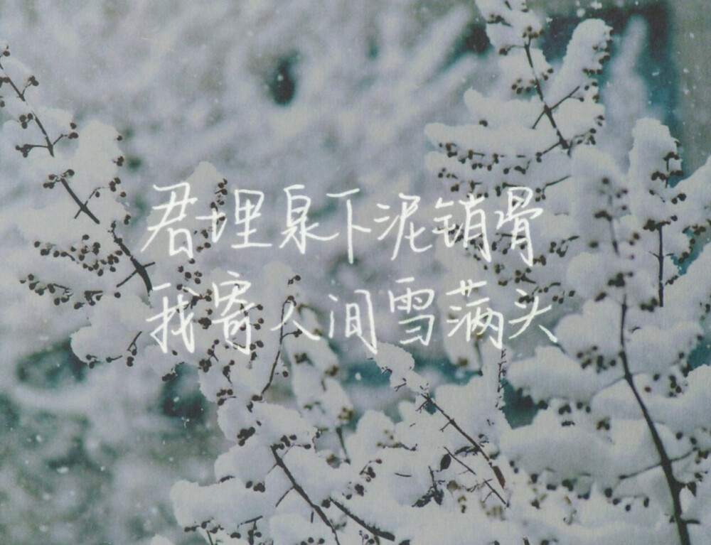 君埋泉下泥销骨，我寄人间雪满头