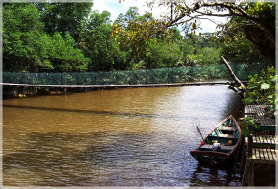 Malaysia Borneo National Parks, Sarawak, Similajau
Similajau国家公园, 砂拉越州属, 马来西亚婆罗洲