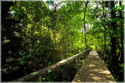 Malaysia Borneo National Parks, Sarawak, Similajau
Similajau国家公园, 砂拉越州属, 马来西亚婆罗洲