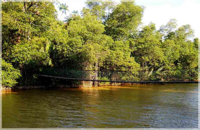 Malaysia Borneo National Parks, Sarawak, Similajau
Similajau国家公园, 砂拉越州属, 马来西亚婆罗洲