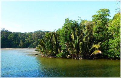 Malaysia Borneo National Parks, Sarawak, Similajau
Similajau国家公园, 砂拉越州属, 马来西亚婆罗洲