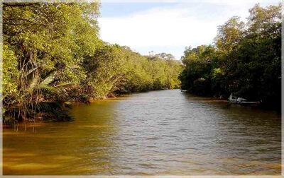 Malaysia Borneo National Parks, Sarawak, Similajau
Similajau国家公园, 砂拉越州属, 马来西亚婆罗洲