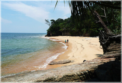 Malaysia Borneo National Parks, Sarawak, Similajau
Similajau国家公园, 砂拉越州属, 马来西亚婆罗洲