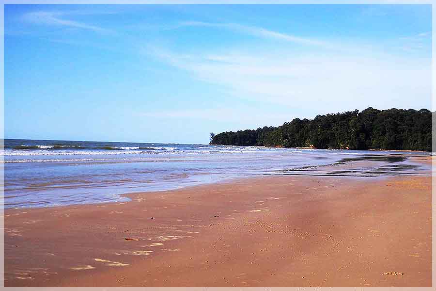 Malaysia Borneo National Parks, Sarawak, Similajau
Similajau国家公园, 砂拉越州属, 马来西亚婆罗洲