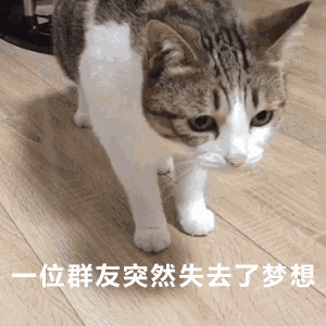瓜皮~