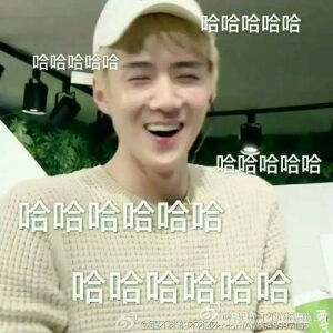 EXO 吴世勋 表情包 哈哈哈哈哈